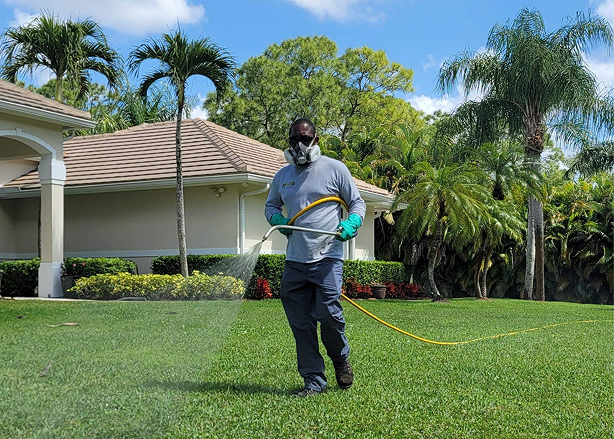 Image gallery marquee