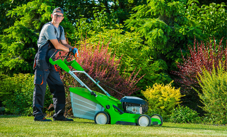 Image gallery marquee