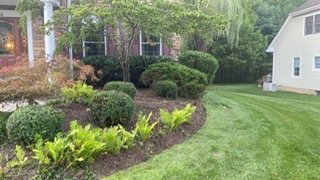 Image gallery marquee