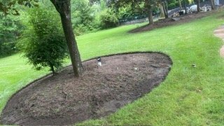 Image gallery marquee